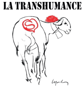 transhumance 2026