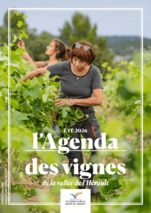 Agenda des vignes 2026