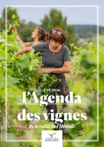 Agenda des vignes 2026